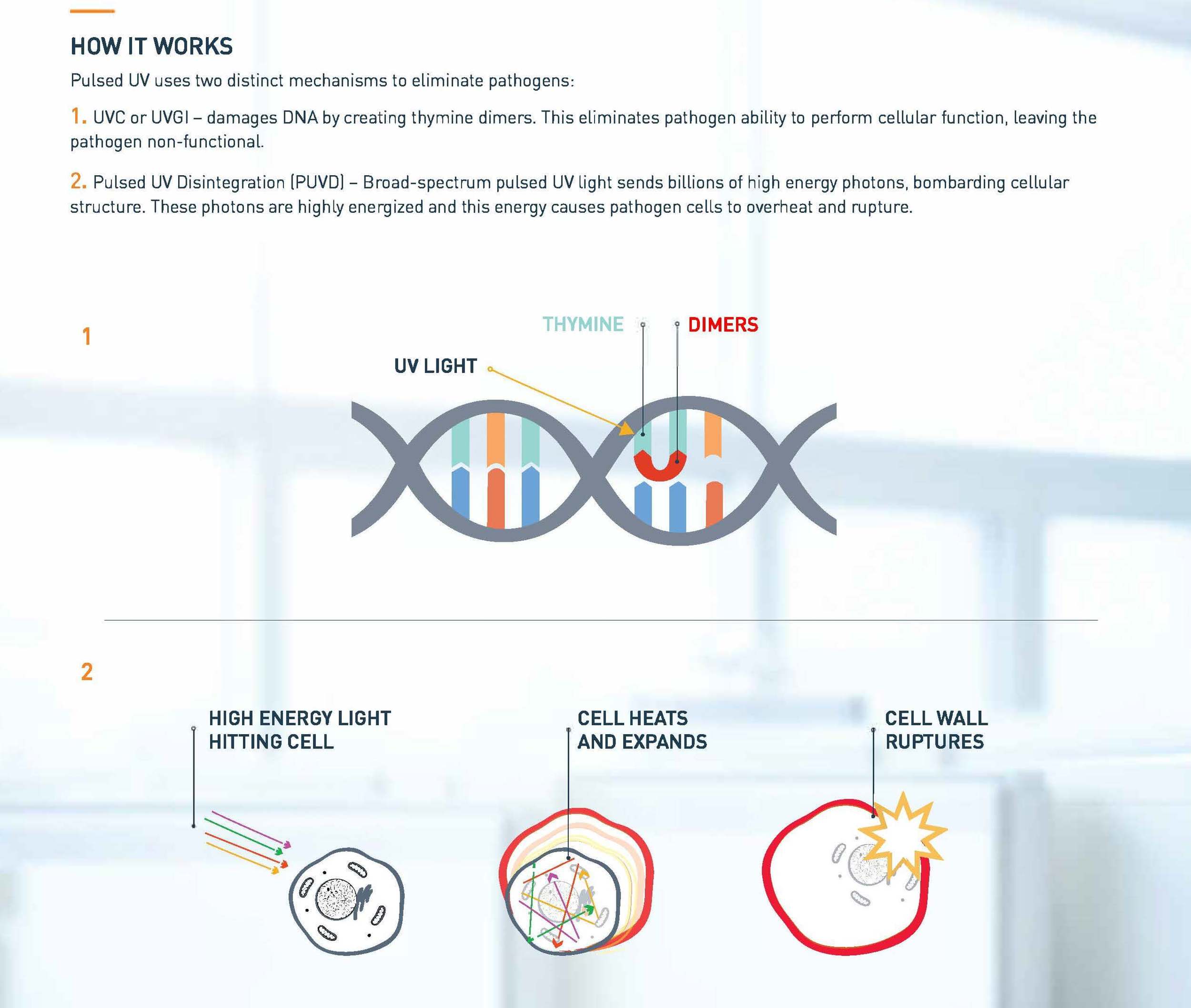 Solaris_lytbot_how-it-works